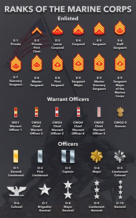 Marine Corps Non-Commissioned Officer Rank Insignia