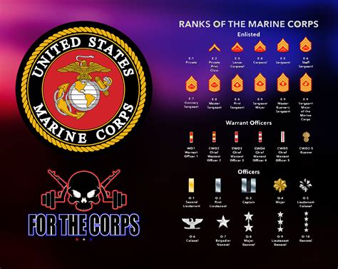 Marine Corps Rank Insignia