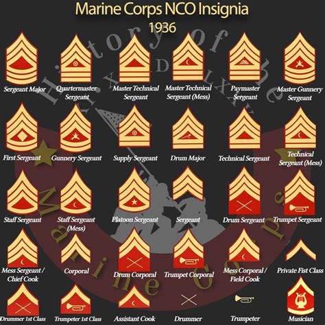 Marine Corps Rank Insignia