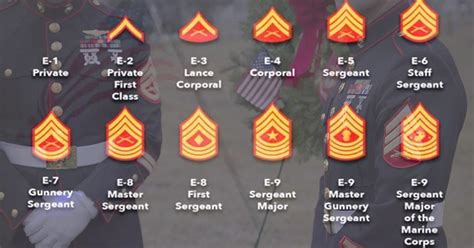 Marine Corps Rank Structure