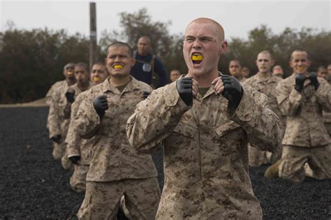 Marine Corps Training Recovery