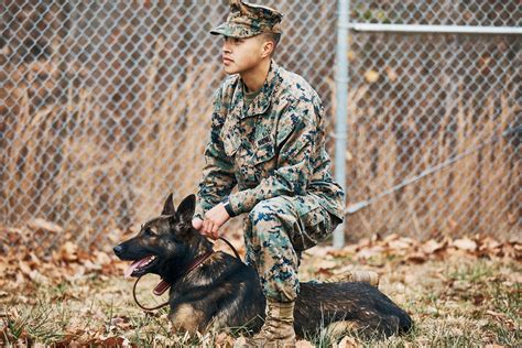 US Marine Dog Handler and Canine Partner