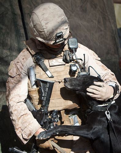 US Marine Dog Handler and Canine Partner Team