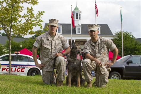 US Marine Dog Handlers Balancing Work and Personal Life