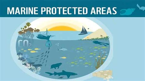 Marine Protected Areas