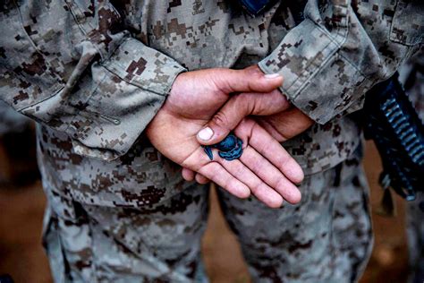 Marine Recruit Training Eagle Globe and Anchor