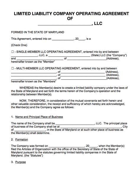 Maryland LLC Operating Agreement template 10