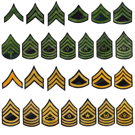 Master Sergeant Rank Structure