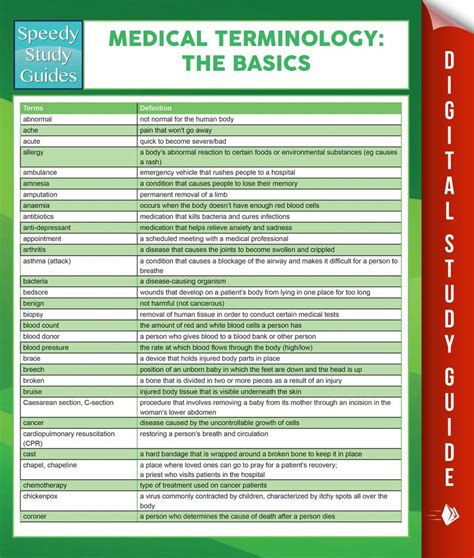 Medical Terminology Basics Worksheet