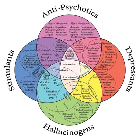 Medication Concept Map Venn Diagram