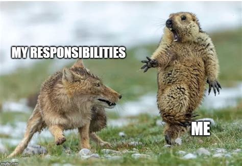 Memes About Responsibilities