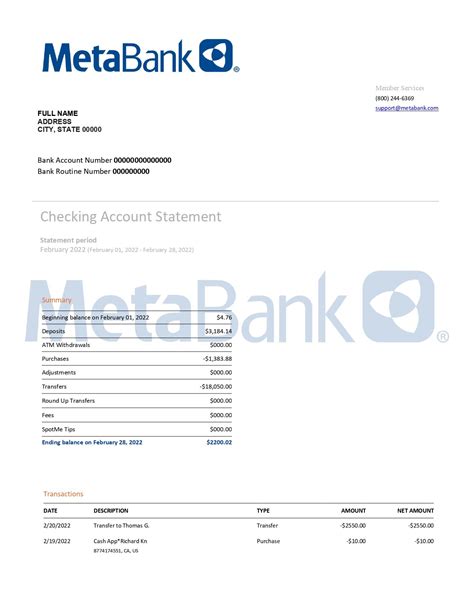 MetaBank Bank Statement Template Example 5