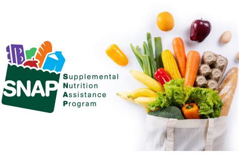 Michigan Food Assistance