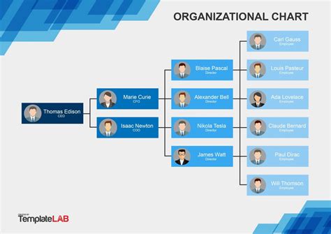 Microsoft Word Organizational Chart Template