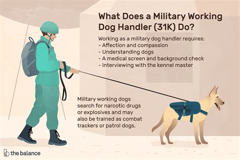 Military Working Dog Handler Average Salary Revealed