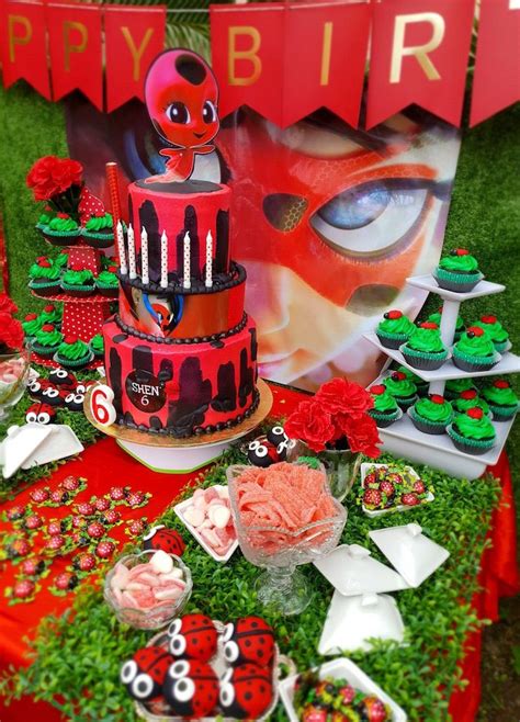 Miraculous Ladybug Party Themes