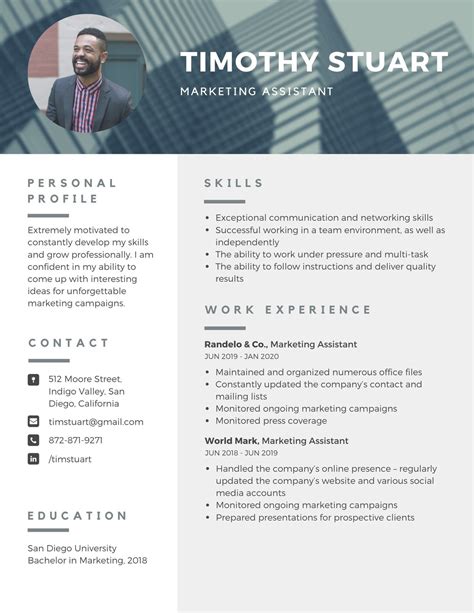 Modern Professional Resume Template