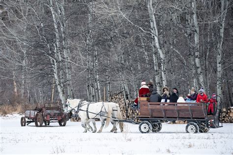 A horse-drawn sleigh ride through the Montana countryside at Christmas