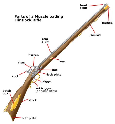 Musket Historical Firearm Terms