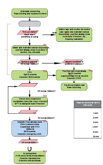 NRP Algorithm Guide