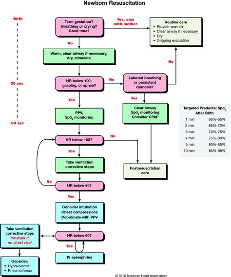 NRP Algorithm Decision Tree