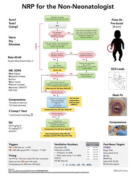 NRP Algorithm Printable Poster