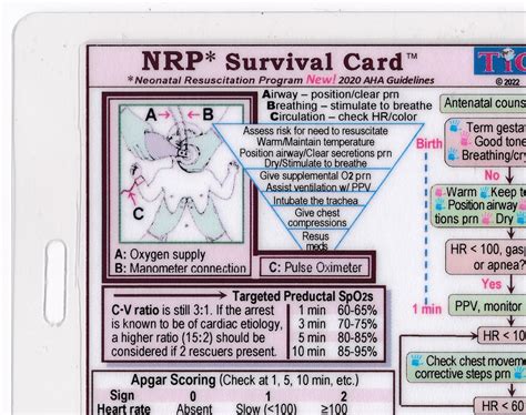 NRP Algorithm Quick Reference Guide