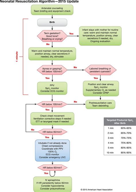 NRP Algorithm Step-by-Step Guide