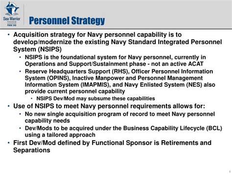 NSIPS System Requirements