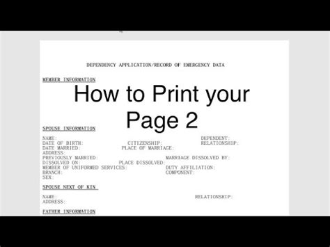 NSIPS Troubleshooting Guide