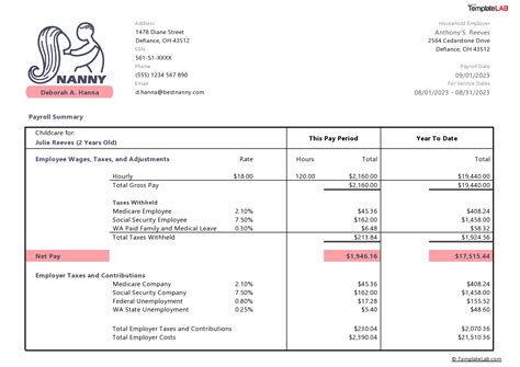 Nanny pay stub components