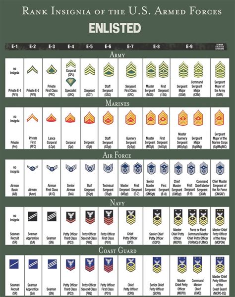 National Guard Rank Structure