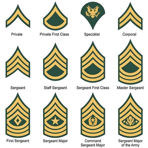 National Guard Rank Structure