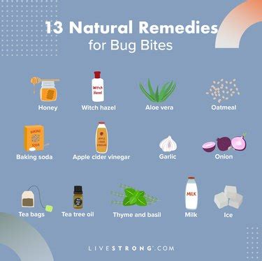 Natural Bug Bite Cures