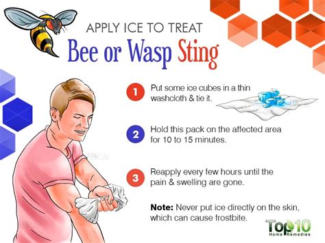 Natural Remedies For Bee Sting Itching