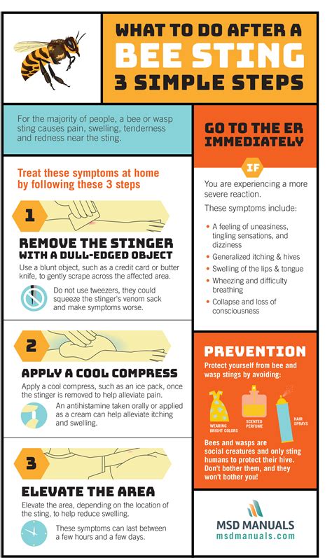 Natural Remedies For Bee Sting Relief