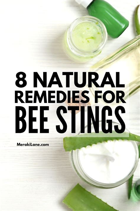 Natural Remedies For Bee Stings