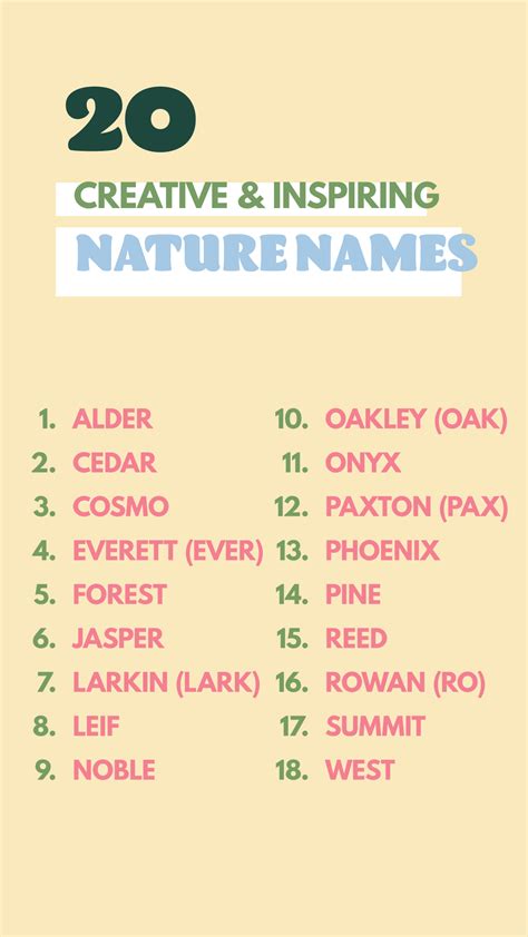 Nature-Inspired Name Card Design