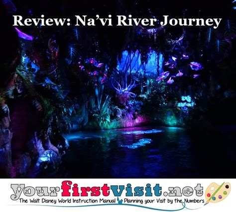 Navi River Journey Attraction