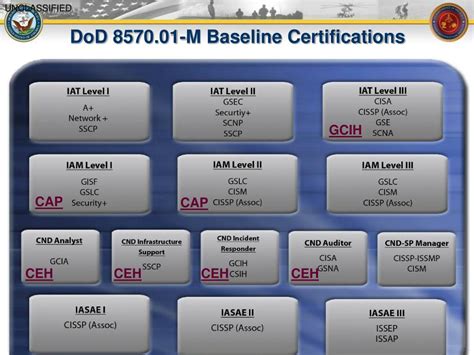 Navy DPS Information Assurance