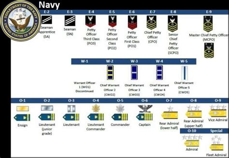 Navy Fighter Pilot Rank