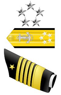 Fleet Admiral rank insignia