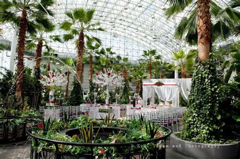 Navy Pier Crystal Gardens