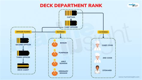 Navy Rank Insights