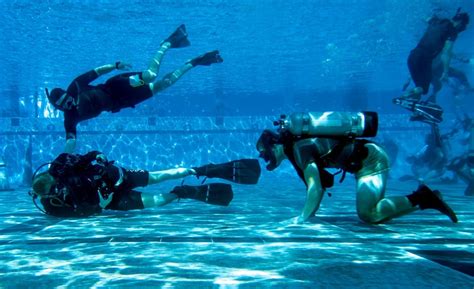 Navy Seal Training Course