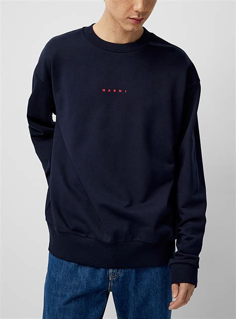 Navy Sweatshirt Style