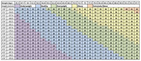 Navy Weight Standards Final Thoughts