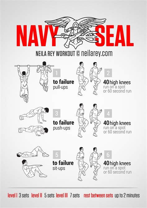 Navy Workout Tips for Beginners