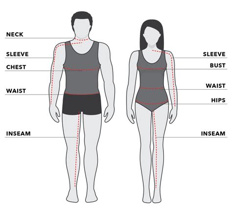 Neck and Waist Measurements