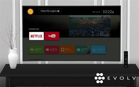 Netflix on Dish Smart TV